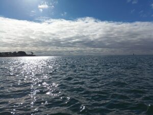 IMG 20251009 WA0037 - Brest Finistère
