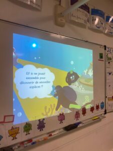 IMG 20251108 WA0007 - Brest Finistère