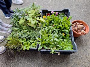 IMG 20251123 WA0001 - Brest Finistère