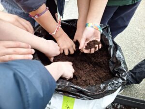 IMG 20251123 WA0002 - Brest Finistère