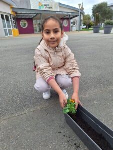 IMG 20251123 WA0003 - Brest Finistère