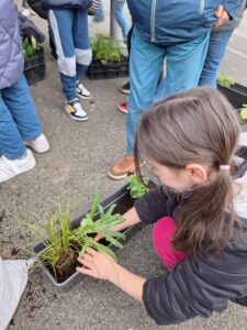 IMG 20251123 WA0005 - Brest Finistère
