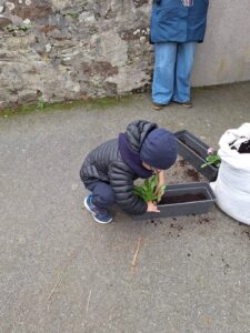 IMG 20251123 WA0006 - Brest Finistère