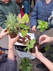 IMG 20251123 WA0007 - Brest Finistère