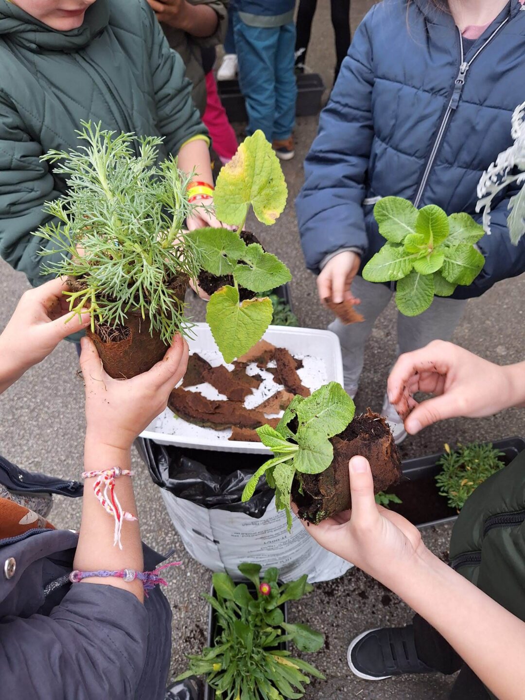 IMG 20251123 WA0007 - Brest Finistère