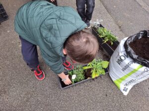 IMG 20251123 WA0008 - Brest Finistère