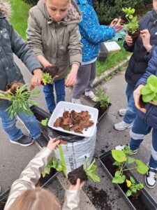 IMG 20251123 WA0009 - Brest Finistère