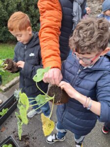 IMG 20251123 WA0011 - Brest Finistère