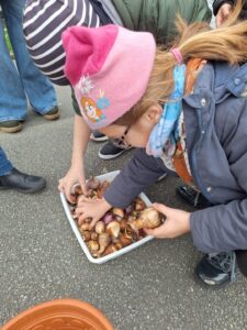 IMG 20251123 WA0013 - Brest Finistère