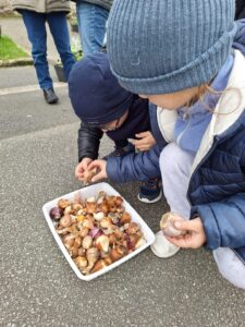 IMG 20251123 WA0014 - Brest Finistère