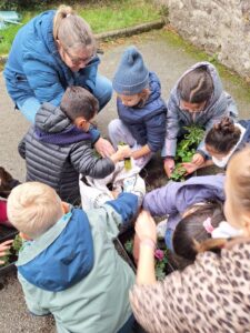 IMG 20251123 WA0015 - Brest Finistère