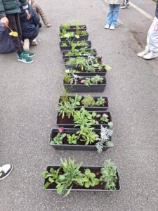 IMG 20251123 WA0016 - Brest Finistère