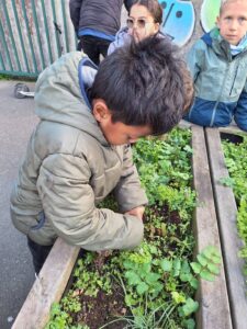 IMG 20251123 WA0017 - Brest Finistère