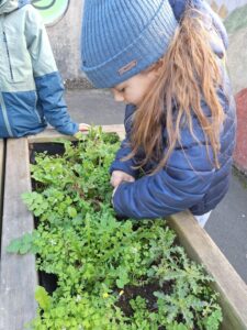 IMG 20251123 WA0018 - Brest Finistère