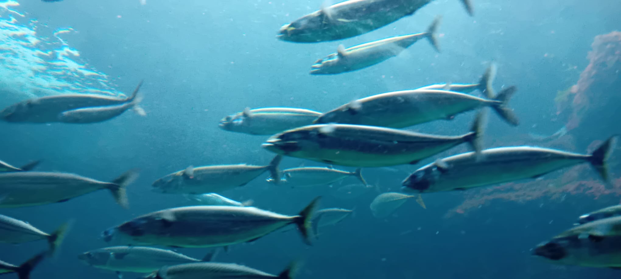 a3d94fa1 e4f9 4518 8bd7 06cdcb8db961 - Brest Finistère