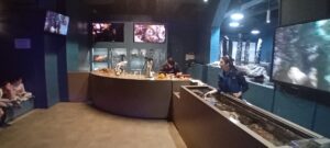 b510f1ab 020d 4395 8dd8 39cbf549003a - Brest Finistère b510f1ab 020d 4395 8dd8 39cbf549003a - Brest Finistère