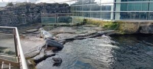 b89f9cc8 2508 4c9b 8eb0 ae563c967fe2 - Brest Finistère b89f9cc8 2508 4c9b 8eb0 ae563c967fe2 - Brest Finistère